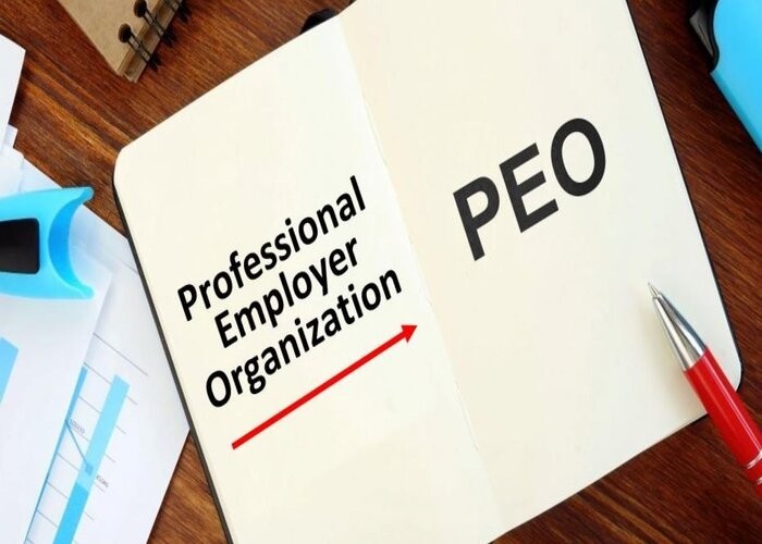 professional employer organisation